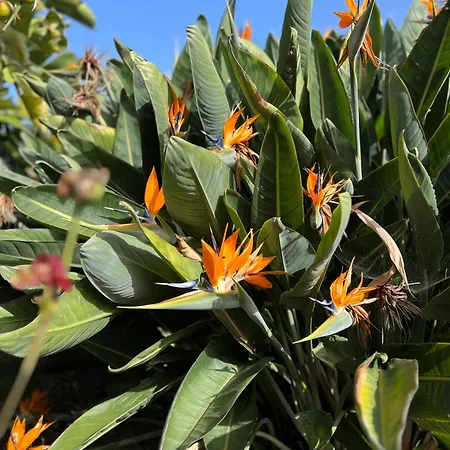 La Paredita Casa Taoro Casa vacanze *