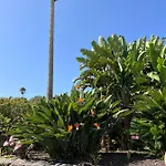La Paredita Casa Taoro *