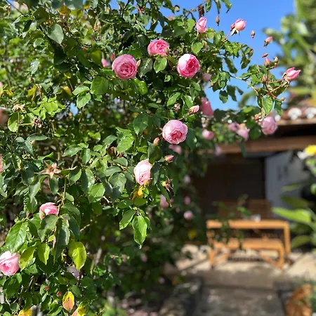 La Paredita Casa Taoro Сasa de vacaciones *