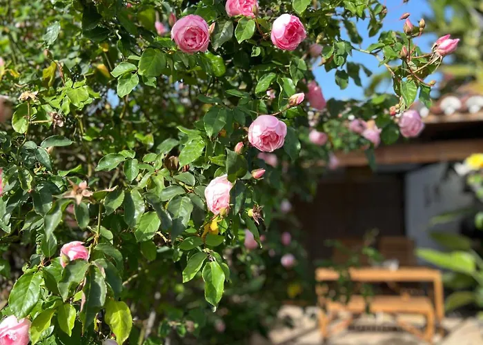 La Paredita Casa Taoro Ferienhaus *