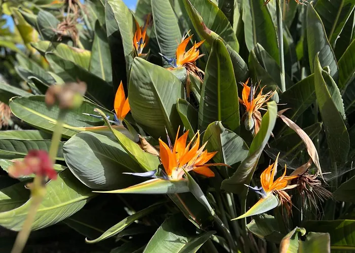 La Paredita Casa Taoro 別荘 *