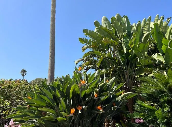 La Paredita Casa Taoro *